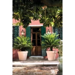 Deroma Pflanztopf Magno Ø 60 Cm White -Einrichtungsgeschäft 726232524137 3832 4