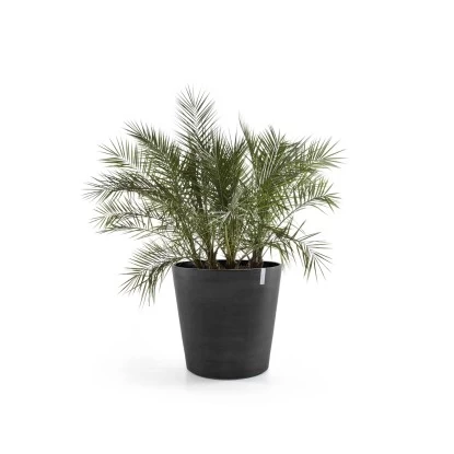 Ecopots Pflanztopf Amsterdam Rollen Dunkelgrau 100 Cm X 87,5 Cm 3 Ecopots Pflanztopf Amsterdam Rollen Dunkelgrau 100 Cm X 87,5 Cm – Bild 3